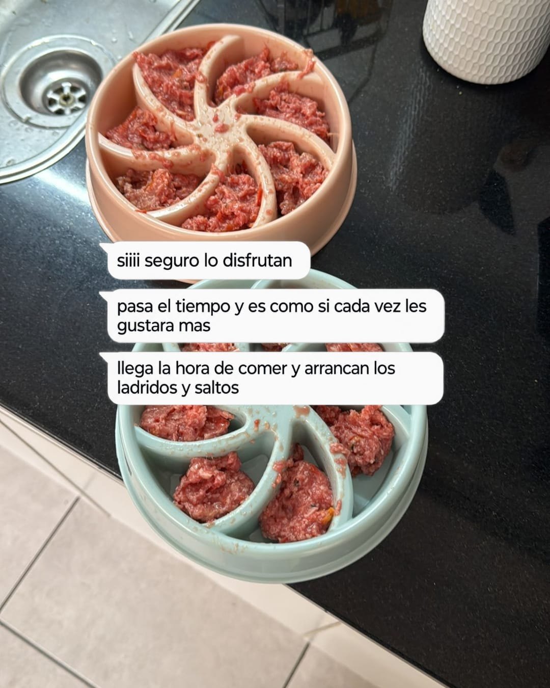 Platos con Patitas y mensaje de la familia contando la emoción de sus perros cuando llega la comida